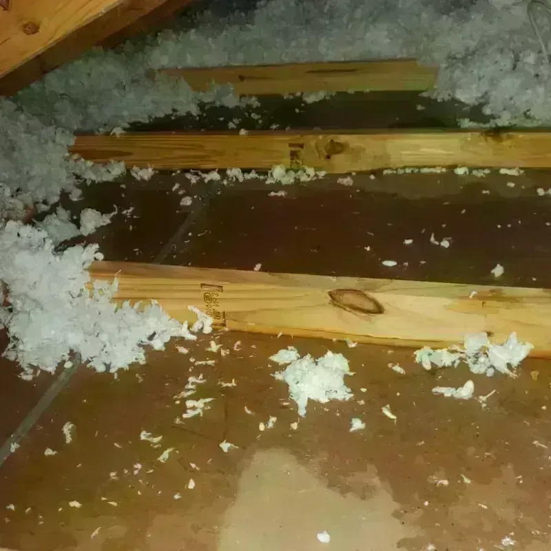 Attic Water Damage in Jefferson, NC